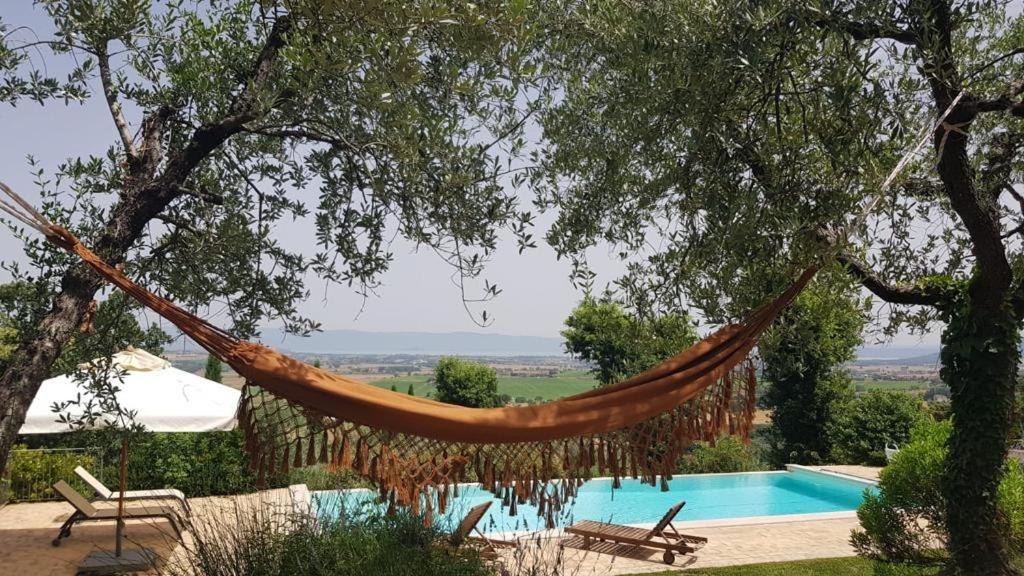 Paciano Fonte Pace Luxury Villa - A Fontanaro Property מראה חיצוני תמונה